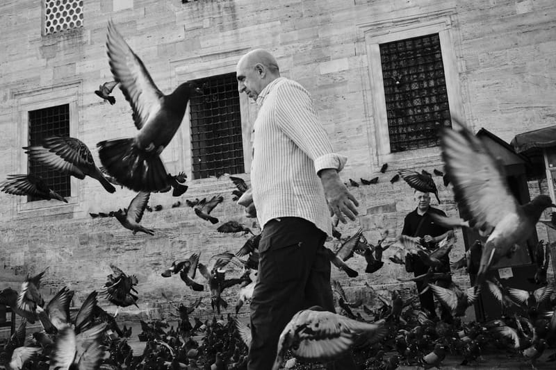 Flight of the Square